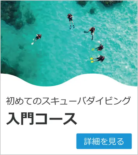 スキューバダイビングする様子