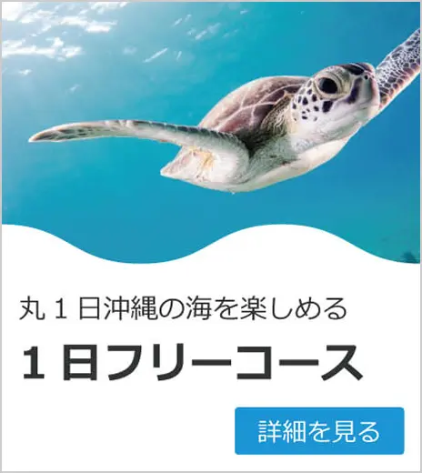ウミガメが泳ぐ様子