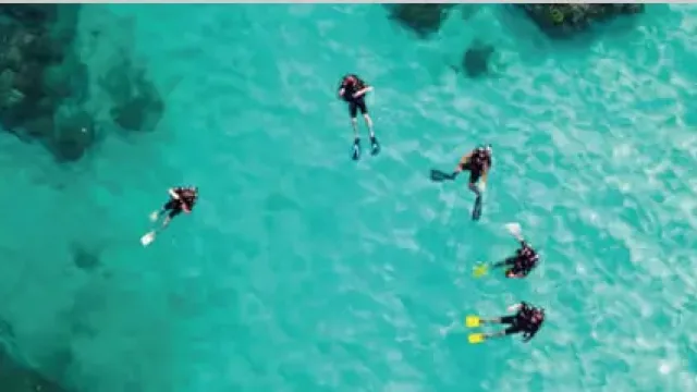 上空から見た、透明な海を泳ぐダイバーたち