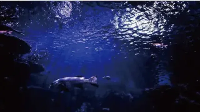 青い光に照らされた洞窟内の海