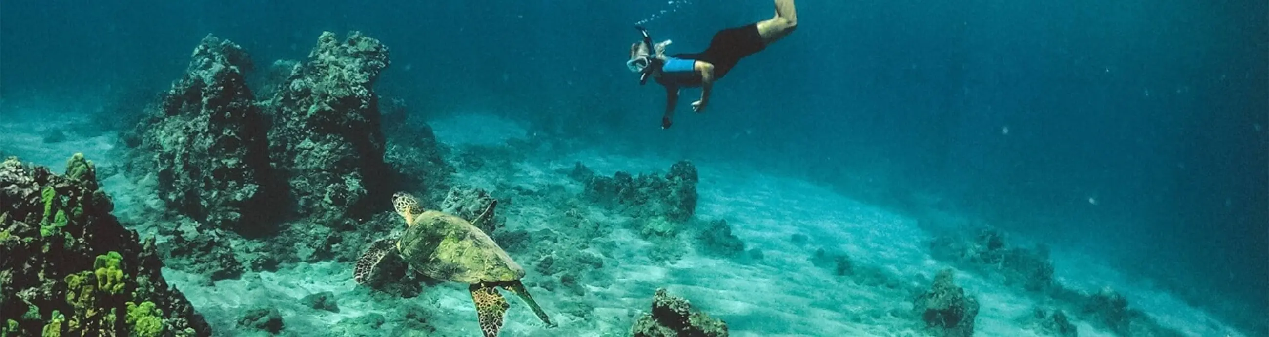 スキューバダイビングをしている様子