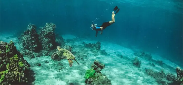 スキューバダイビングをしている様子