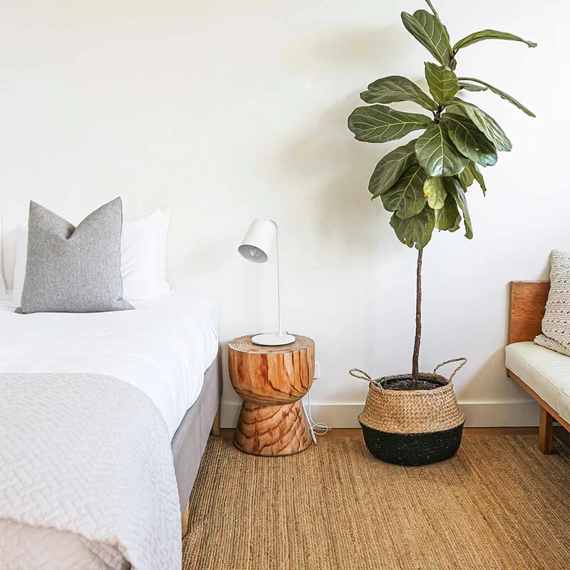 観葉植物と木製サイドテーブル